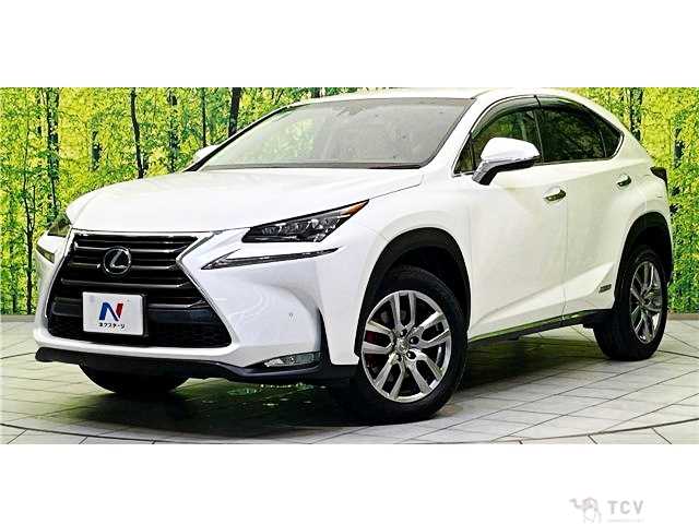 2016 Lexus NX