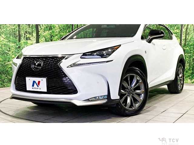 2016 Lexus NX