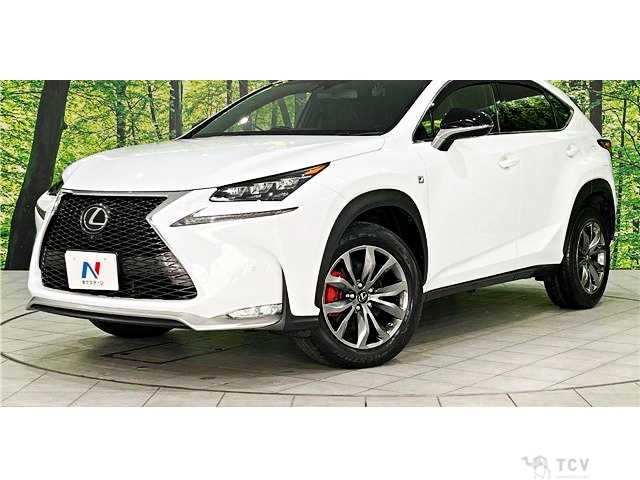 2016 Lexus NX