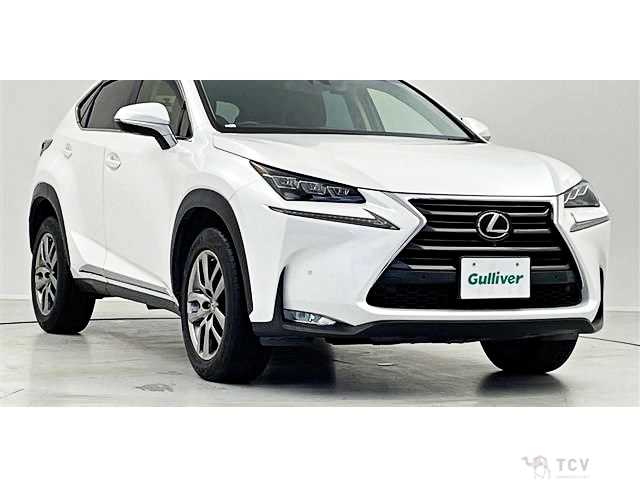 2016 Lexus NX