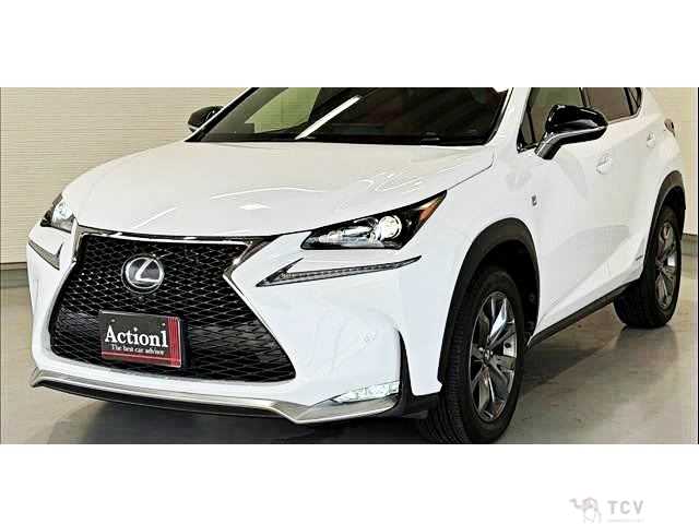 2016 Lexus NX