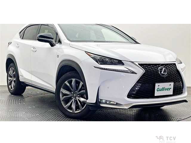 2016 Lexus NX