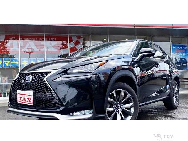2016 Lexus NX