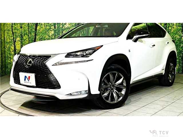 2016 Lexus NX