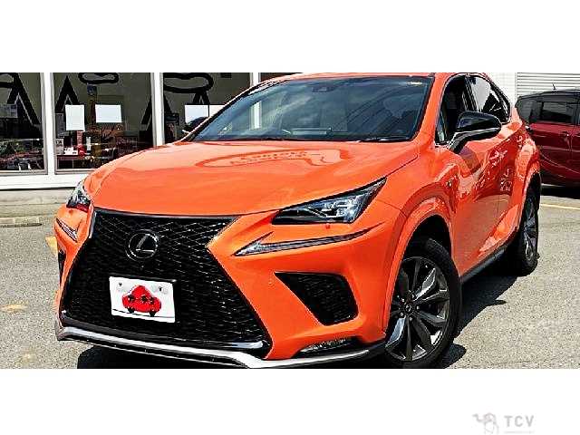 2018 Lexus NX