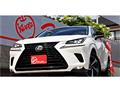2018 Lexus NX