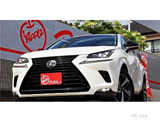 2018 Lexus NX