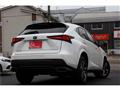 2018 Lexus NX