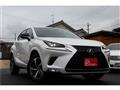 2018 Lexus NX