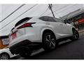 2018 Lexus NX
