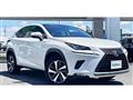 2018 Lexus NX