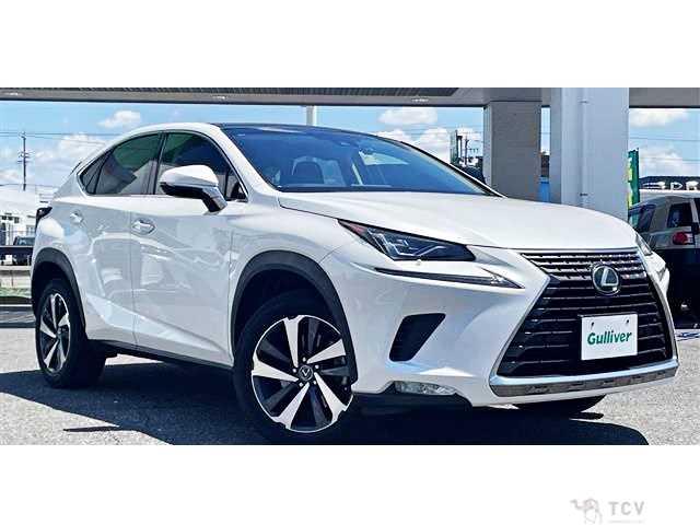 2018 Lexus NX