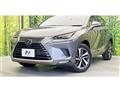2018 Lexus NX