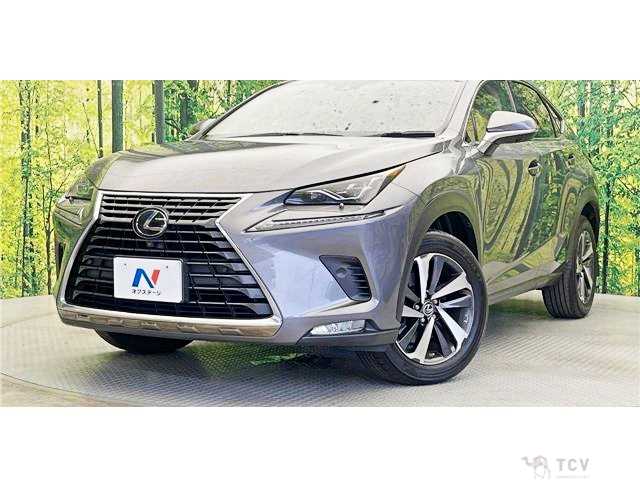 2018 Lexus NX