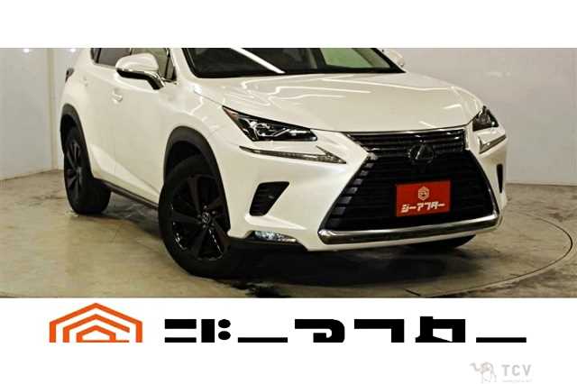 2018 Lexus NX