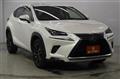 2018 Lexus NX
