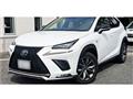 2018 Lexus NX