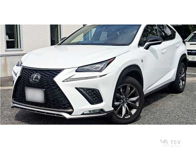 2018 Lexus NX