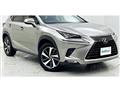2018 Lexus NX