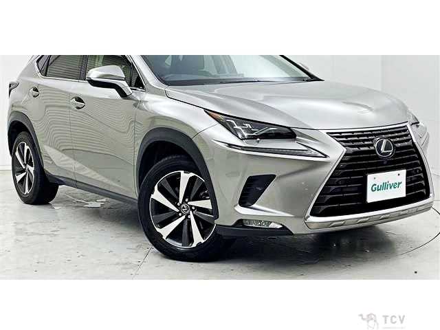 2018 Lexus NX