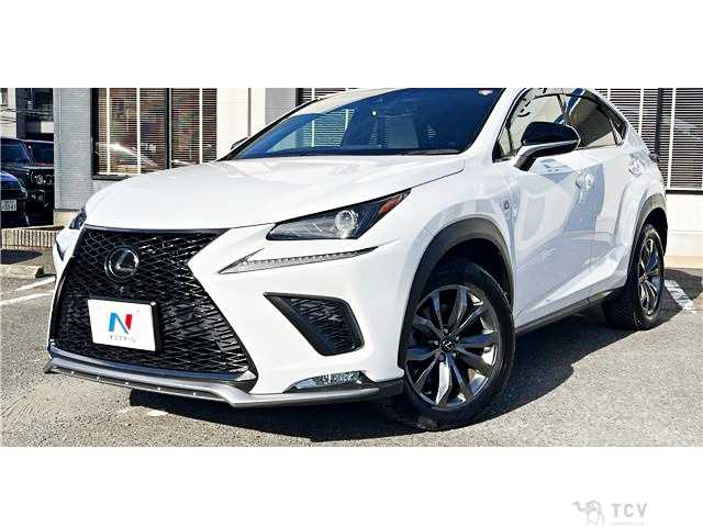 2018 Lexus NX