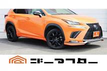 2018 Lexus NX