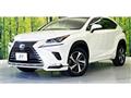 2018 Lexus NX