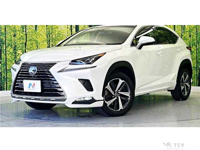 2018 Lexus NX