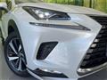 2018 Lexus NX