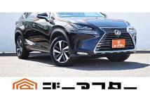 2018 Lexus NX