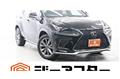 2018 Lexus NX