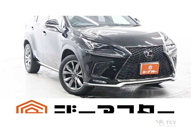 2018 Lexus NX