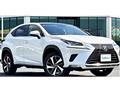 2018 Lexus NX