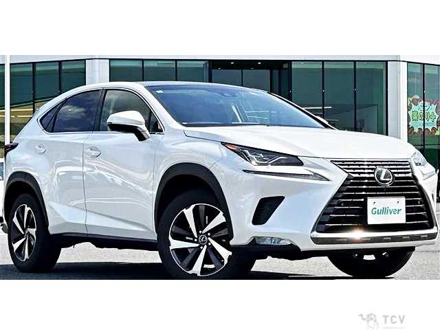 2018 Lexus NX