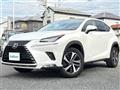 2018 Lexus NX