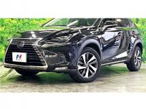 2018 Lexus NX