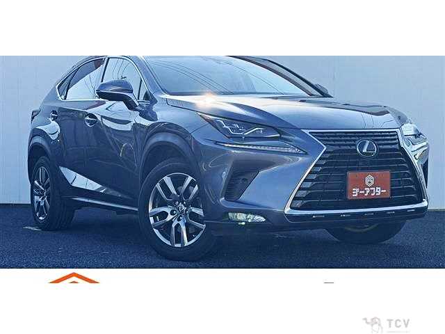 2018 Lexus NX