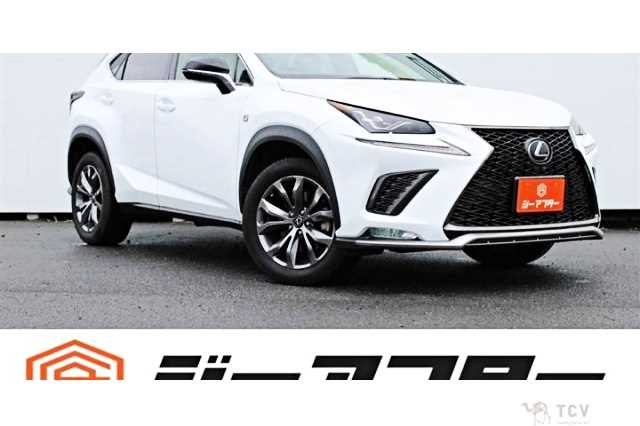 2018 Lexus NX