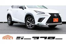 2018 Lexus NX