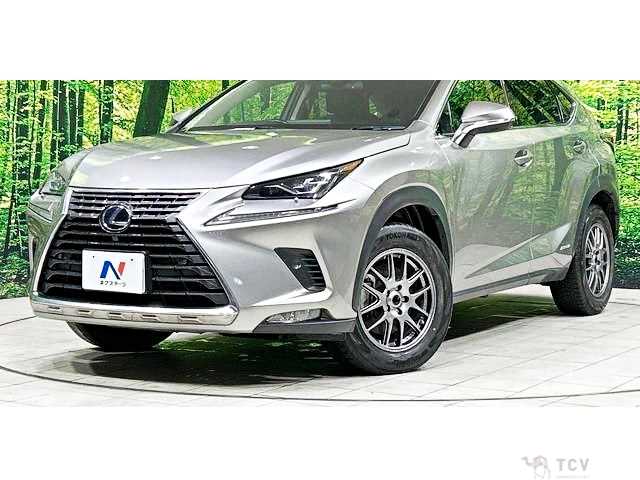 2018 Lexus NX