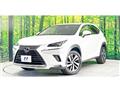 2018 Lexus NX
