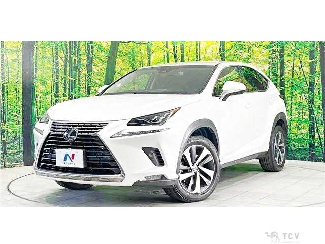 2018 Lexus NX