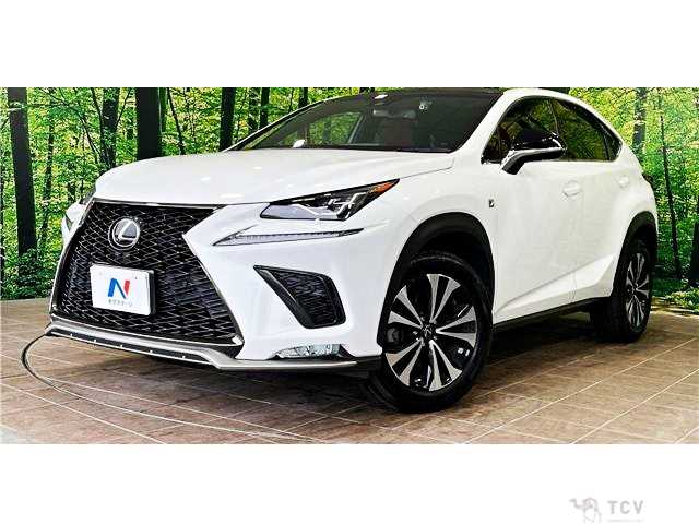 2018 Lexus NX