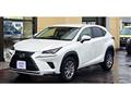 2018 Lexus NX