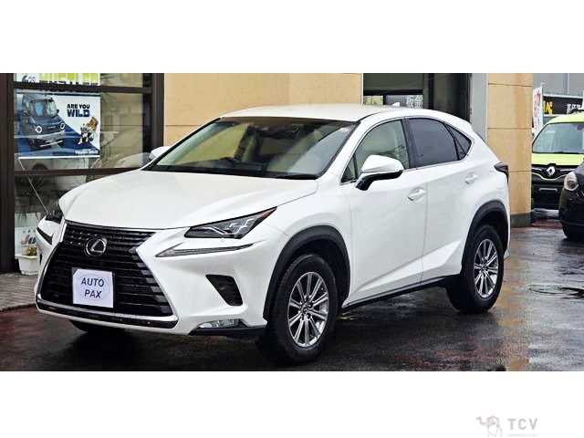 2018 Lexus NX