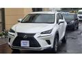 2018 Lexus NX