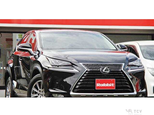 2018 Lexus NX