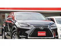 2018 Lexus NX