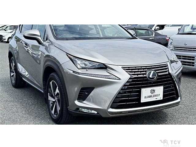 2018 Lexus NX