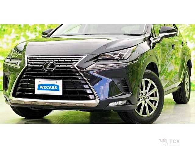2018 Lexus NX